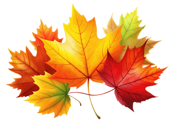 Reviewing Fall Leaf 3D Icon Design Graphics and Illustrations